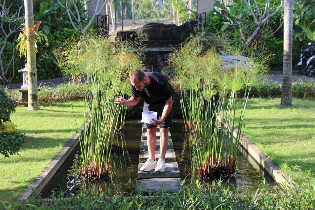 Bali Hai Island Resort Pekutatan  외부 사진